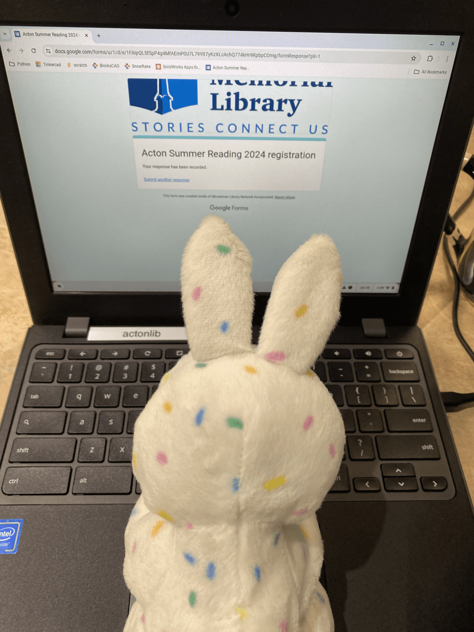 Aml Stuffie Sleepover 2024 Acton Memorial Library